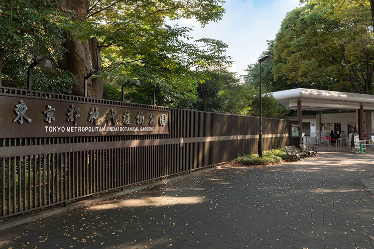 Jindai Botanical Gardens Guide – Visit with The Tokyo Pass