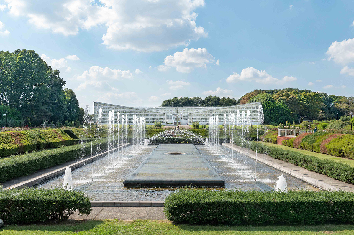 Jindai Botanical Gardens Guide – Visit with The Tokyo Pass