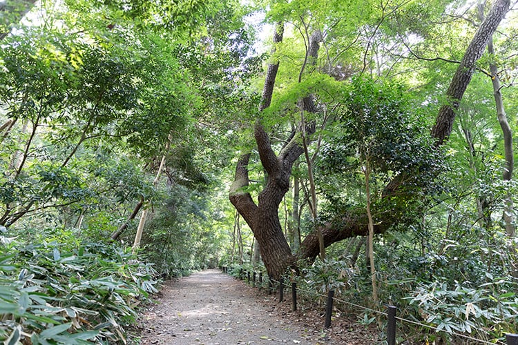 ino001
